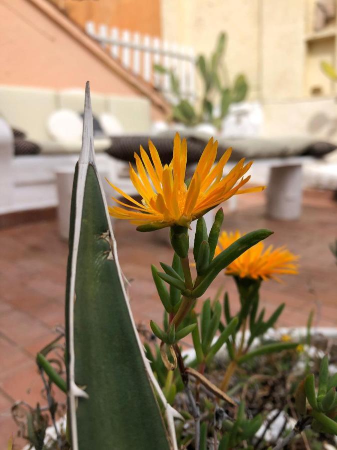 Elite Navona Appartement Rome Buitenkant foto